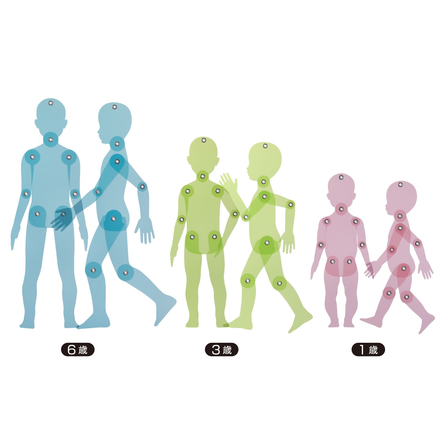 2D KIDS MODEL / 2Dキッズモデル